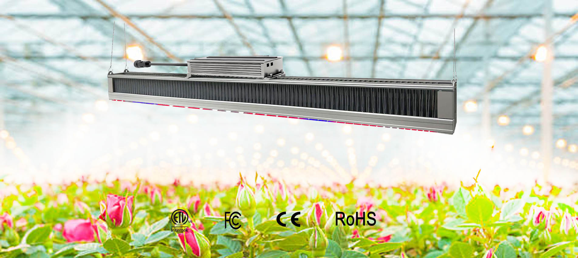 Top grow light